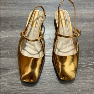 Franco Sarlo  -Gold Flats